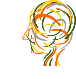 Human Developer